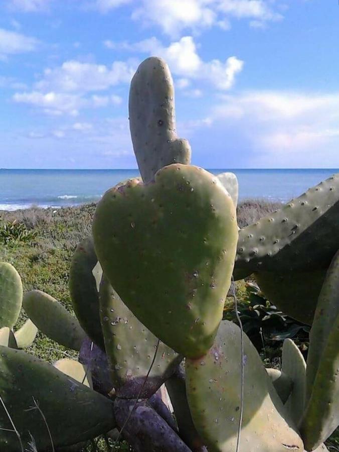 Casa Panarea - Villetta Indipendente Sul Mare Marina di Modica Zewnętrze zdjęcie
